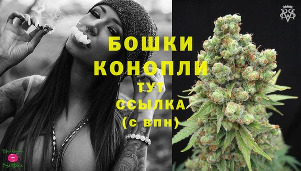 сатива Алзамай