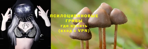молекула духа Алексеевка
